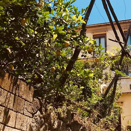 Accademia 39 Maison d'hôtes