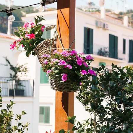 Accademia 39 Πανσιόν Σορέντο